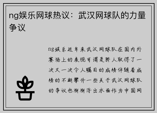 ng娱乐网球热议：武汉网球队的力量争议