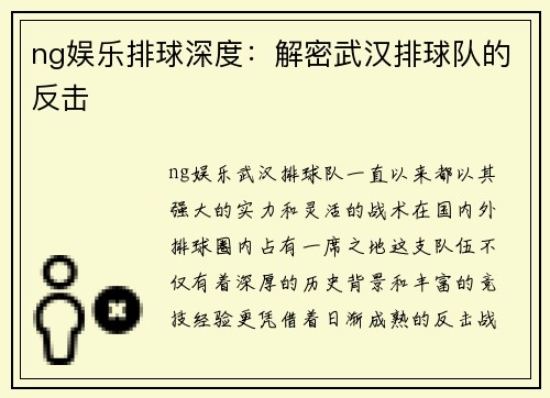 ng娱乐排球深度：解密武汉排球队的反击